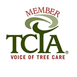 Member of TCIA